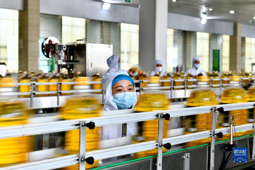 姚记捕鱼电脑版官方网站